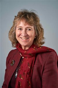 Profile image for Councillor Ann Saffery